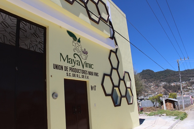 5年生になりました