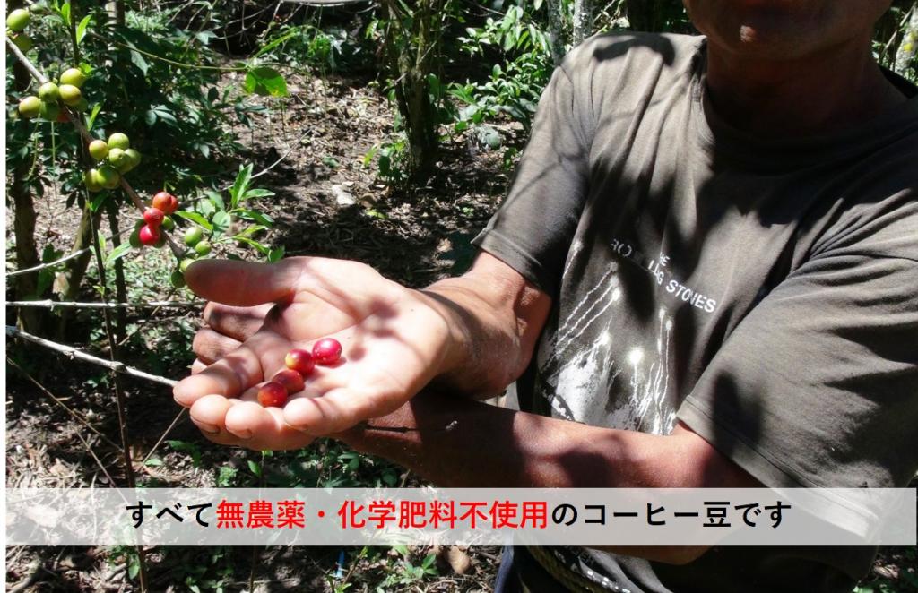 【 9月20日~9月30日 】までの11日間、 「お気持ちばかりSALE」をさせていただいています!!