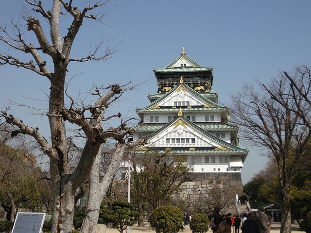 豆乃木 in OSAKA 夏の陣 ~8月29,30日は東急ハンズ心斎橋店へ