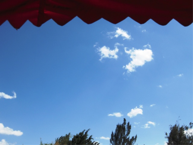 海外脱出準備進まず・・・