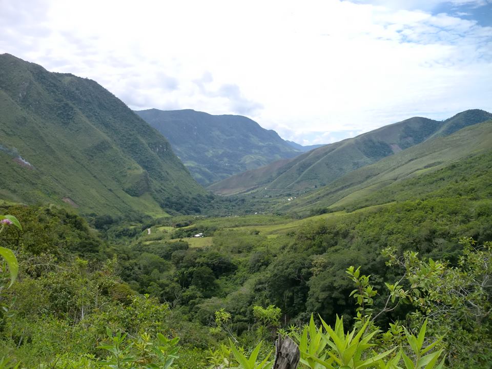 ペルー・アチャマル村2014生豆1kg 販売終了です