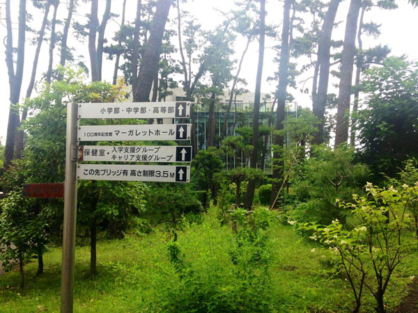 今日はコーヒーを離れてこんなお仕事をしていました