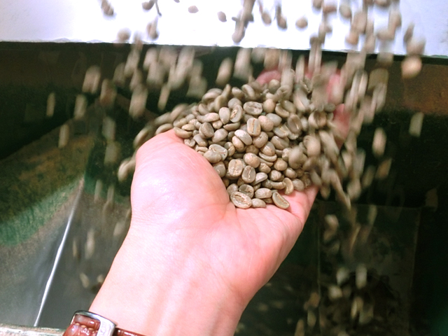 【コーヒーを美味しく楽しく!】 Vol.2 コーヒー豆の色々・・・生豆から褐色、そして・・・