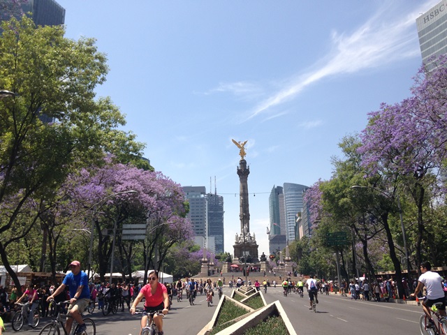 明日から始まります「豆乃木 in OSAKA 3DAYS」