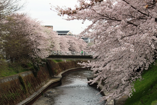 ホームロースト(手焙煎)じわじわ来てます・・・
