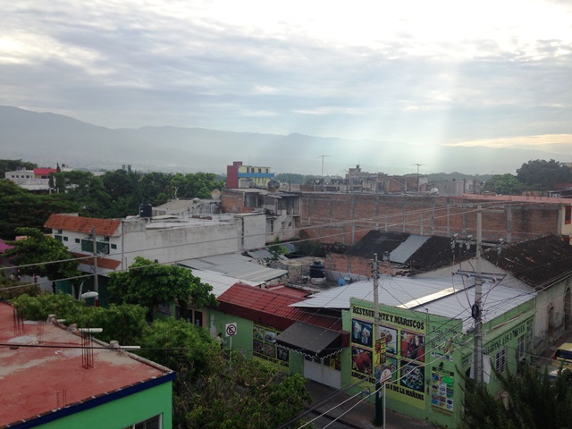 【DAY41】 フェアトレードという名は足枷(あしかせ)?