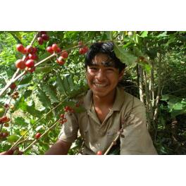 【DECAF is coming soon】待望の有機・無農薬カフェインレスコーヒー生豆入荷します!!!