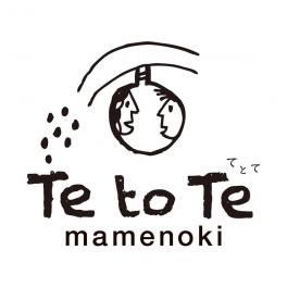 2017年3月12日~23日までメキシコへ行ってきます
