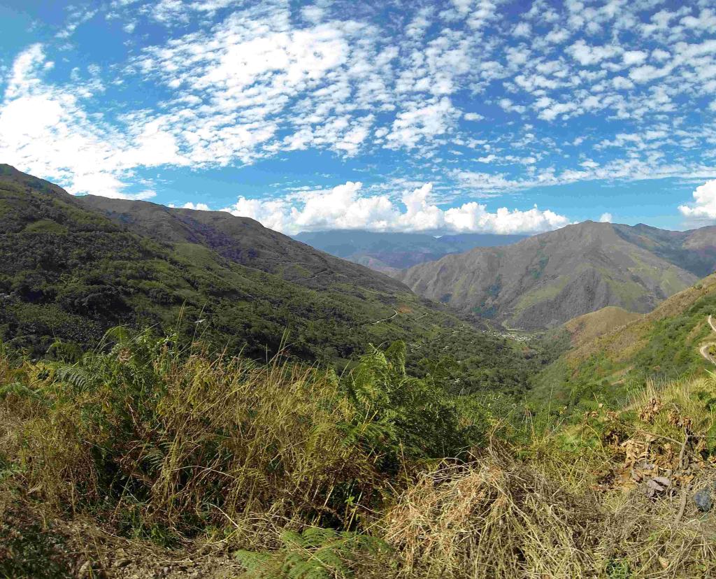 当店前月(5月)の売れ筋TOP3を更新しました